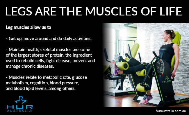 Leg muscles are the muscles of life