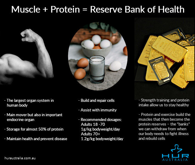 Muscle + Protein = Reserve Bank of Health