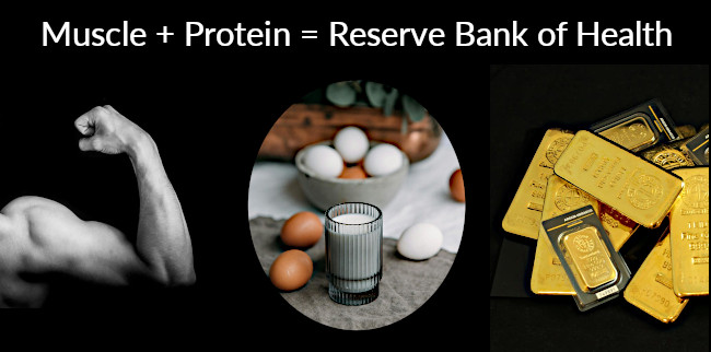 Muscles lead to better health